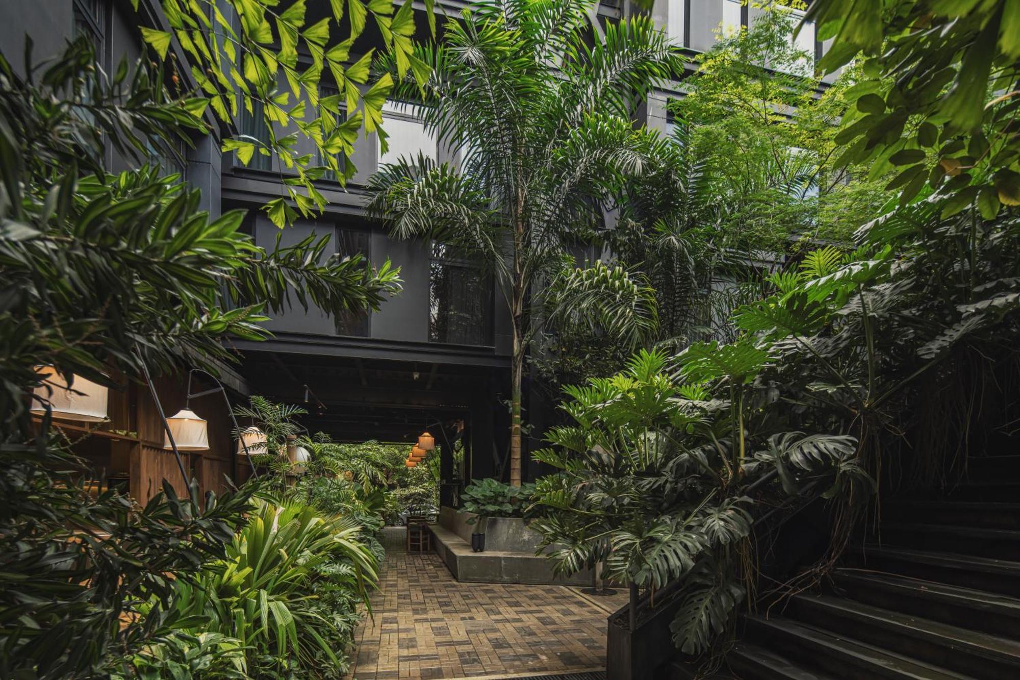 The Click Clack Hotel Medellín Eksteriør billede The interior courtyard of the hotel