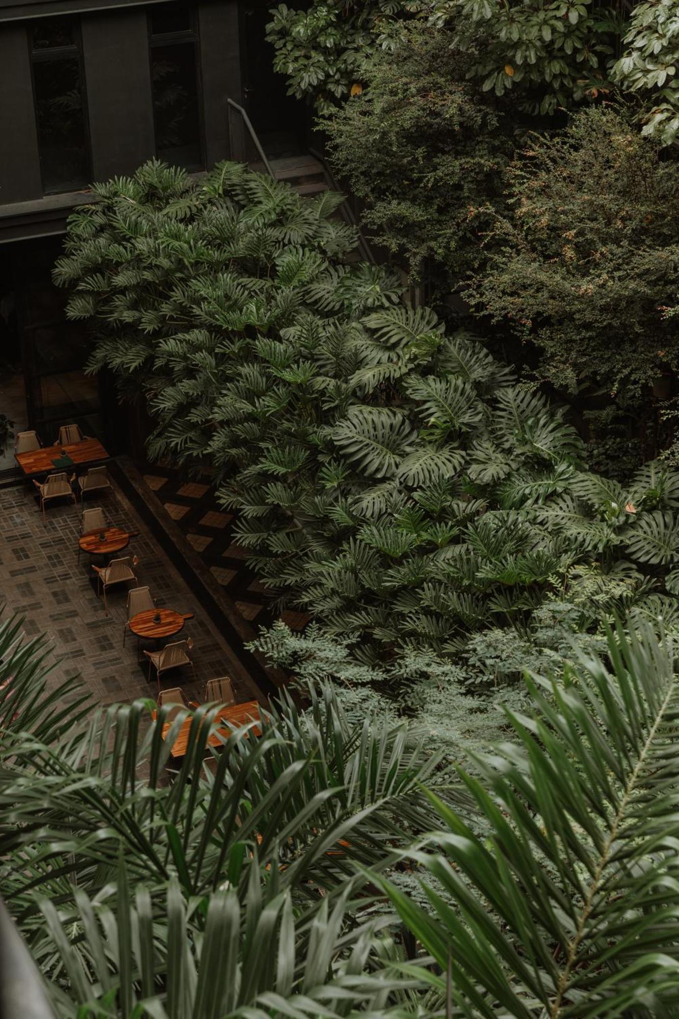 The Click Clack Hotel Medellín Eksteriør billede Alpinum